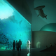 Image for article titled An Aquarium Made of Colossal Beach Pebbles
